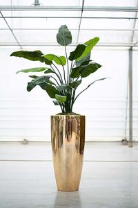 Long Stylish <b>Golden</b> Wired Stand Traditional Style Metal Decorative Garden Planter Perfect For Classic Outdoor Use - Product Image 5