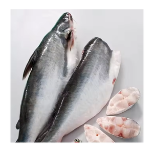 Filetes de Pescado Pangasius Congelados, Filetes de Pescado Basa al por Mayor, Filetes de Pangasius, Filetes de Basa - Product Image 2