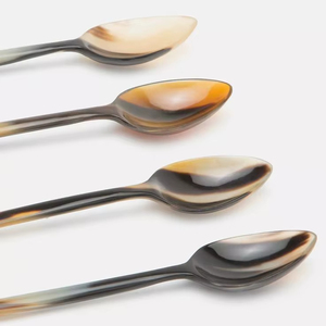 Ensemble de couverts indiens faits à la main réutilisables de 6 pièces en bois miroir avec acier écologique et élégant - Product Image 1