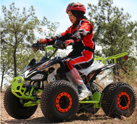 Frein hydraulique arrière pour kart de course |   Kart électrique de parc d'attractions pour enfants et adultes |   Buggy tout-terrain à 4 roues