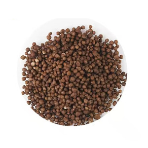 ปุ๋ยไดแอมโมเนียมฟอสเฟต DAP/NPK แบบเม็ดคุณภาพสูงสำหรับขายส่งที่ได้รับการรับรอง - Product Image 4