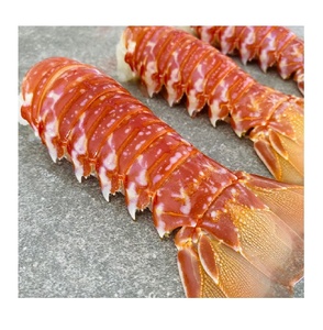 Langostas Sur-Africanas Congeladas Premium para Exportación, Suministro al por Mayor para Restaurantes, Hoteles y Distribuidores de Mariscos - Product Image 4