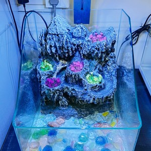 데스크탑 유리 어항, 산악 풍경 장식이 있는 투명 수족관, 베타 물고기, 소형 애완동물, 가정 및 사무실 장식용 - Product Image 2