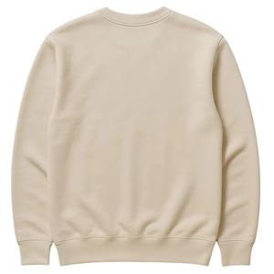 College Days Swiftly Pass <b>Neutral</b> Crewneck Sweatshirt Premium Chenille Embroidery Alpha Inspired Vintage Collegiate Apparel - Product Image 3