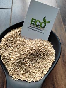 Graine de sésame blanc de haute qualité Meilleure récolte de sésame indien de qualité supérieure fabriquée en Inde-Top produit agricole - Product Image 4