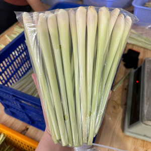 Vietnam Fresh Frozen Lemongrass IQF Processed Clean Herb for Culinary Industry - Product Image 2