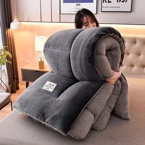 Nhà Máy Bán Hàng Trực Tiếp Dày Mùa Đông Ấm Áp Chăn Cừu Nhung Chăn Fluffy <span class=keywords><strong>Comforter</strong></span> Mùa Đông Tấm Ga Giường Thiết Lập - Product Image 5