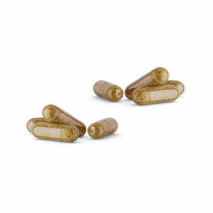 Capsules de bêta-glucane |   Complément alimentaire antioxydant à base de bêta-13/1,6-glucane |   Fibres alimentaires solubles |   Végétalien |   Adulte |   Marque privée OEM - Product Image 5