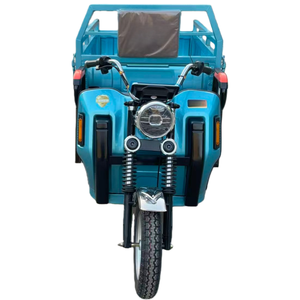 Tricycle électrique à trois roues de petite taille 800W, en acier, 60V, tricycle à pneus larges, pas cher, pour le transport de marchandises et de passagers - Product Image 4