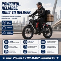 Vélo cargo électrique 48V 750W, cadre en acier, batterie lithium, double batterie, pneus larges de 20 pouces, 7 vitesses, pour la famille, la livraison et les trajets quotidiens