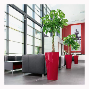Maceta de Plástico con Autorriego para Interiores, para <span class=keywords><strong>Plantas</strong></span> Decorativas y de Jardín - Product Image 1