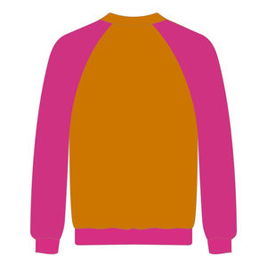 Delta Psi Rho Sorority manga raglán cuello redondo sudadera algodón dorado Poly año de fundación 2020 Jumper vida griega ropa Casual - Product Image 3