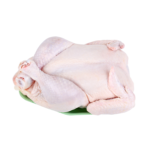 Poulet entier congelé halal de haute qualité |   Poulet entier de qualité supérieure, emballé sous vide, origine américaine, approvisionnement en gros - Product Image 1