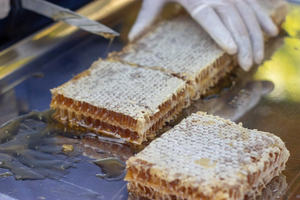 Miel naturel pur en nid d'abeille du Vietnam pour la vente en gros et la consommation humaine - Product Image 6