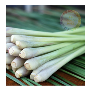 Gran cantidad de tallos de hierba de limón congelados, producto listo para exportar para canales mayoristas y de servicio de alimentos - Product Image 4