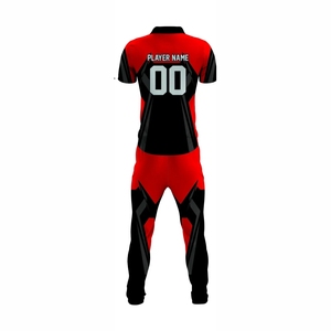 Uniforme de cricket de alta calidad con nombre y número de impresión personalizados al por mayor personalizable pakistaní y EE. UU. Cricket 2026 Inglaterra - Product Image 6