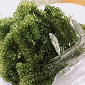 EXPORTATION EN VRAC CAVIAR VERT/RAISINS DE MER DÉLICIEUX DU FOURNISSEUR DU VIET NAM - Product Image 2