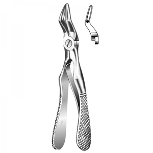 Pinzas para raíces - Product Image 6