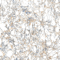 Carreaux de sol en céramique de décoration artificielle gris Code SH 60x60 Effet marbre Types de revêtements de sol en porcelaine Carreaux de sol en marbre