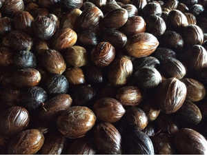 Noix de muscade en coque meilleure qualité et prix d'Indonésie - Product Image 2