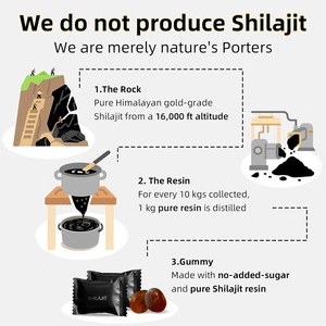Gomitas de Shilajit Doradas de Marca Privada al por Mayor OEM con Ácido Fúlvico y Múltiples Minerales para Energía y Apoyo Inmunológico - Product Image 3