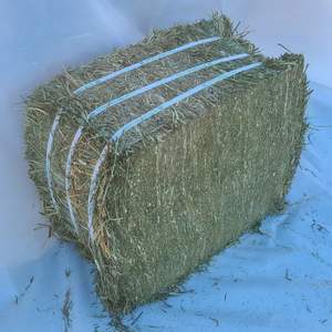 Foin de pâturage Timothy de qualité supérieure, humidité 2%, durée de conservation 12 mois, à vendre - Product Image 5