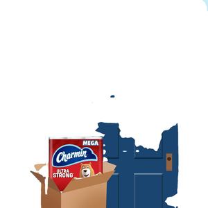 Papel Higiénico Charmin Ultra Strong, 9 Mega Rollos = 36 Rollos Regulares (Prime Pantry) (El Empaque Puede Variar) - Product Image 1