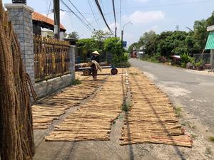 Jacinto trenzado, Leila - Product Image 6