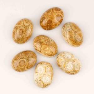 Calidad superior 12x16mm liso ovalado amarillo agatizado Coral cabujones piedras preciosas naturales fabricación de joyas al por mayor piedras preciosas sueltas - Product Image 3