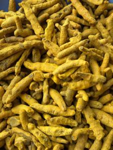 100% Natural Sun <b>Dried</b> Turmeric Finger Premium Raw Turmeric Roots Bulk Supply for Culinary Food Processing and <b>Plant</b> Based - Product Image 2