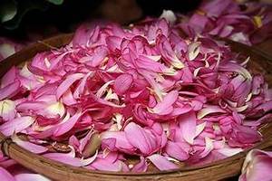 FLEUR DE LOTUS PURE SÉCHÉE POUR LA DÉTOX SOUTIEN IMMUNITAIRE RELAXATION THÉ AUX HERBES ET INFUSIONS AROMATIQUES - Product Image 6