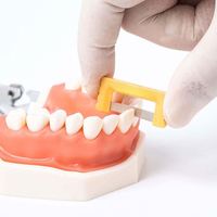Bande orthodontique dentaire pour pièce à main à contre-angle à basse vitesse système IPR