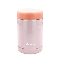 Thermos Classique Moderne en Acier Inoxydable pour Soupe, Bouteille Isotherme à Double Paroi, Isolation Sous Vide, 300 ml, Contenant Portable Écologique