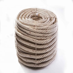 Chất Lượng Xuất Khẩu Thân Thiện Với Môi 10Mm Pe Dây Câu Cá Với Kích Thước Tùy Chỉnh Cho Trang Trí Và Đa Loại Sử Dụng Dây Bởi Ấn Độ - Product Image 1