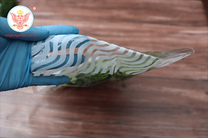 Túi OPP Đựng Rau Tươi Lâu Trôi, Túi Rau Sạch Siêu Thị Chống Sương Mù In Logo Tùy Chỉnh - Product Image 5