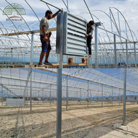 Serre en film multi-travées sur mesure 86,4x76m pour système de culture hydroponique de tomates