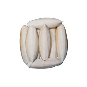 Os de seiche pour les routines de soins d'oiseaux disponibles à des tarifs avantageux - Product Image 3