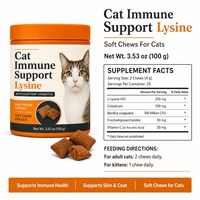 Vente en gros de friandises à mâcher molles à la lysine pour soutenir l'immunité des chats, complément alimentaire pour la santé respiratoire féline, probiotiques digestifs, 100g