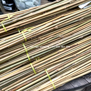 Precio barato para estacas de bambú huecas y palos de bambú crudo para soporte de plantas del fabricante Eco2go Vietnam - Product Image 5