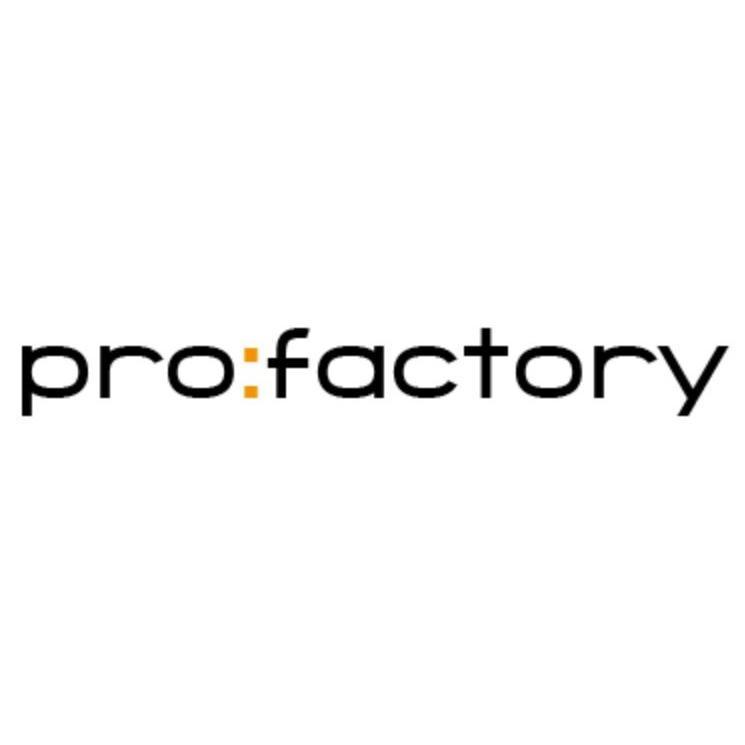 Pro Factory Werbemittel GmbH & Co. KG logo