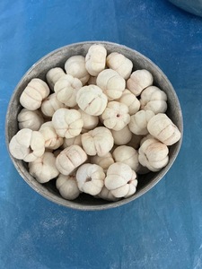 PRODUCTO CALIENTE Mangosteen liofilizado de Vietnam Combina una textura crujiente con la dulzura refrescante del Mangosteen - Product Image 3