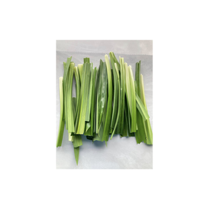 MEJOR VENTA HOJAS PANDAN SECAS 100% NATURAL DE VIETNAM CON CALIDAD PREMIUM - Product Image 6