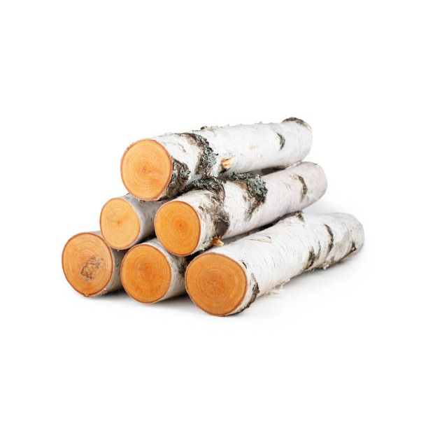 Freshly Cut and Debarked Birch Logs for Furniture Making High Quality Raw Material