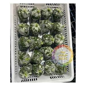 [ราคาดีที่สุด] ใบมันสำปะหลังใน2025พืชแช่แข็ง/ต้นพืชใหม่/บรรจุจำนวนมากจากธรรมชาติ100% - Product Image 3