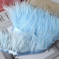 Plumes d'autruche en gros, garnitures teintes, tissu en dentelle naturelle avec une hauteur de 6 à 8 cm pour les travaux manuels de carnaval et de mariage, bordure en franges