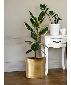 Maceta de aluminio de excelente diseño para decoración de plantas con calidad de metal libre de óxido, fácil mantenimiento y Decoración elegante para el hogar - Product Image 6