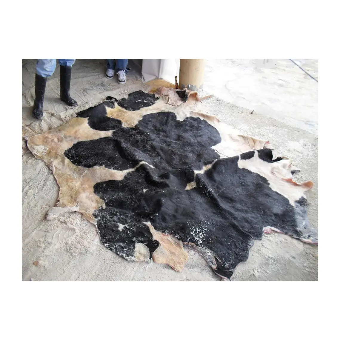 Top Grade Wet Salted Cow Hides Natural Cow Skin Leather Low Wholesale Price for Genuine Leather