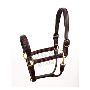 Brida de cuero de caballo ecuestre, diseño de alta calidad, a la venta - Product Image 1