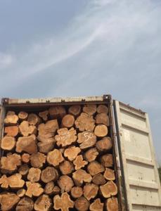 ไม้สักท่อนไม้สักพรีเมี่ยมแบบ Tectona Grandis (ประเทศไทย) - Product Image 5