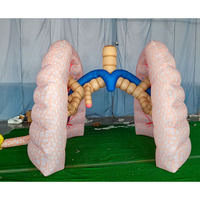 Modèle de poumon humain gonflable réaliste personnalisé Connaissances physiques Poumons gonflables Air Cœur Poumon cérébral pour l'éducation médicale